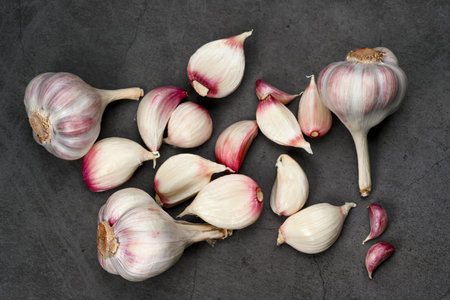 Fresh Garlic Bulb with Peeling Skins. purple garlic. Suitable for cooking, health, food introduction, nutrition topics.の写真素材