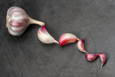 Fresh Garlic Bulb with Peeling Skins. purple garlic. Suitable for cooking, health, food introduction, nutrition topics.の写真素材