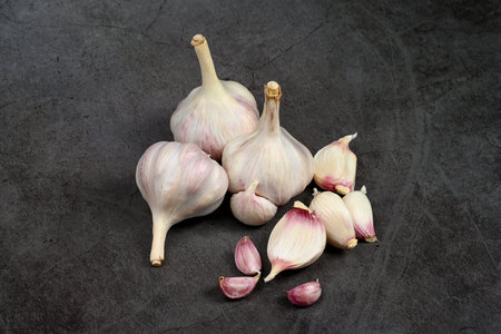 Fresh Garlic Bulb with Peeling Skins. purple garlic. Suitable for cooking, health, food introduction, nutrition topics.の写真素材