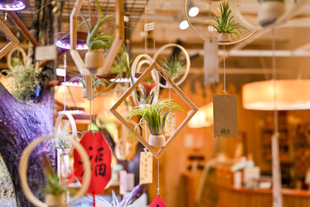 Taiwan May 30 2025: Festive Chinese New Year interior with red spring couplets, lucky knots and plants inside wood workshop, illustrating cultural holiday atmosphereの写真素材