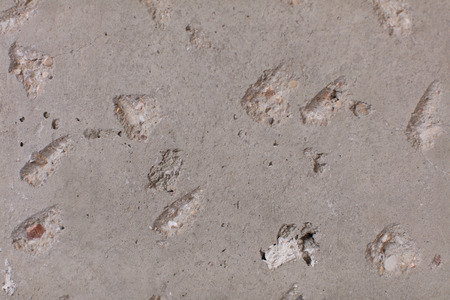 cement or concrete texture and background. flat wallpaperの写真素材