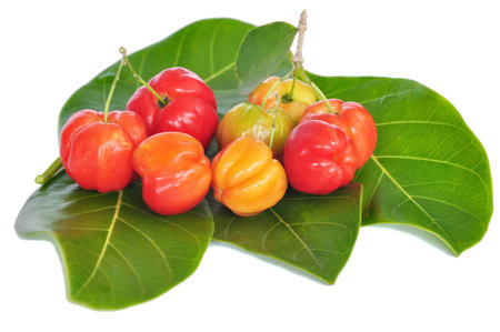 Barbados cherry or Thai cherry