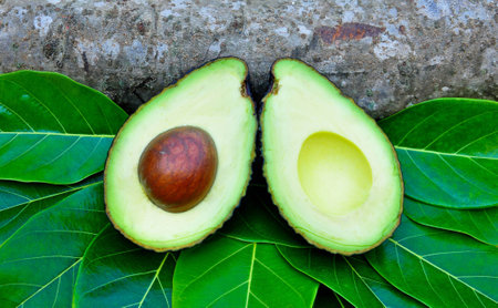 Avocado on the green leaves