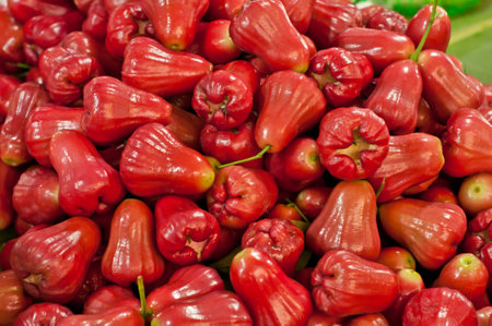 Heap of red  rose appleの写真素材