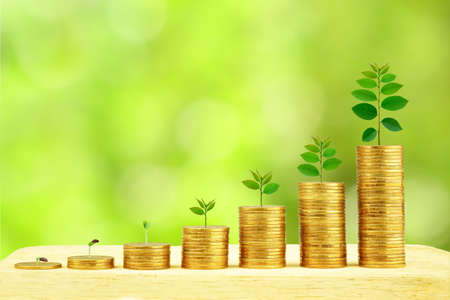 Small tree growing on a coin step increase. Business with natural bokeh background.