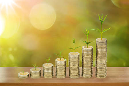 small tree growing on the money coin stack increase with a business growth concept. sun light bokeh...
