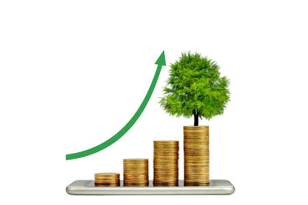 smart phone with a tree growing on a coin step increase. white background. business concept.の写真素材