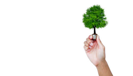 A tree glowing in a light bulb on white background. green energy for environment and save the earth ecology concept.の写真素材