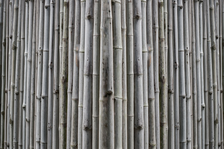 Bamboo wall gray vertical depth look at the side.の写真素材