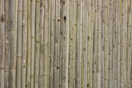 Bamboo wall deep gray side.の写真素材