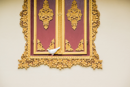 Dove with white Windows in thai templeの写真素材