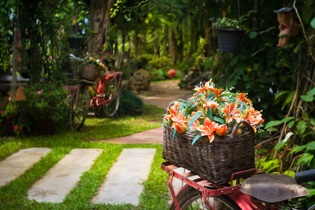 Beautiful colorful flowers on red bicycle concept  in the garden backgroundの写真素材