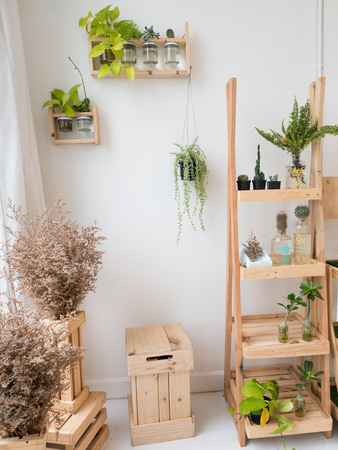 Small trees on wooden floor decorated in the house.の写真素材