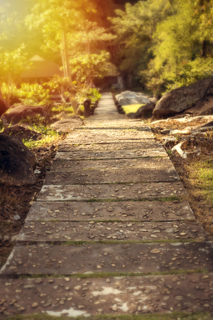 Garden path and sunriseの写真素材