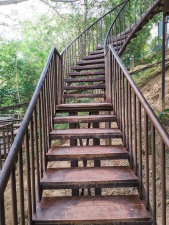 stairway to the metal ladder in the forest