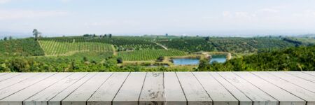 A table with an orange farm