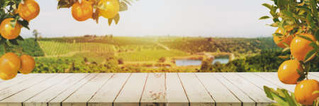 top table and orange fruit farm background.copyspace