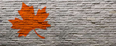 Maple left shape on the wallの写真素材