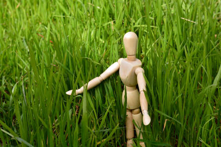 Wooden mannequin among green grassの写真素材