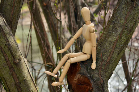 wooden mannequin sitting on the branches of a treeの写真素材