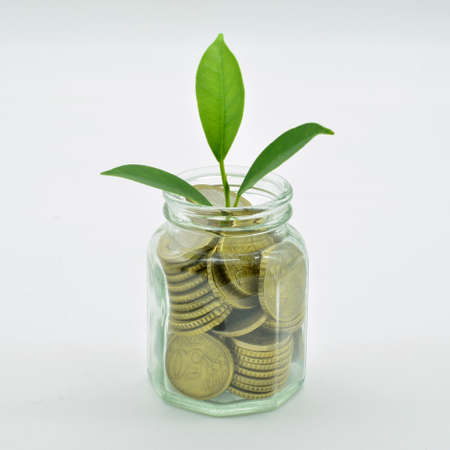 Concept of environmental conservation and saving, plant growing inside a glass jar full of coins