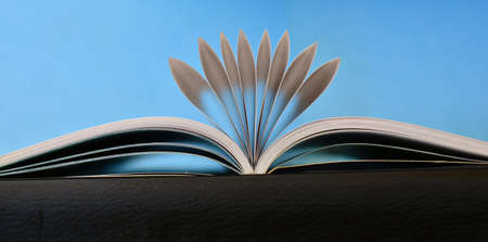 Pages of a book curved in a fan shape