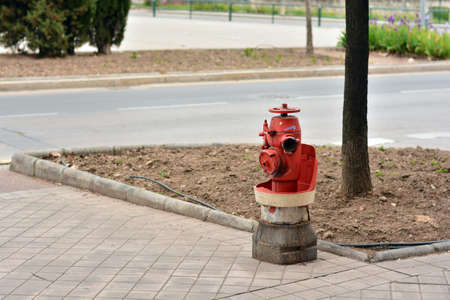 Fire hydrant on a street in a city
