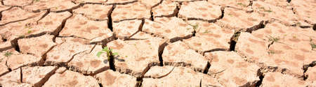 Cracked ground due to lack of water, droughtの写真素材