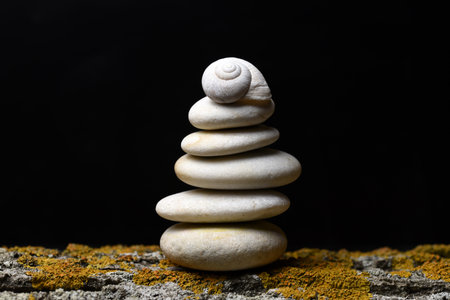 White snail shell on top of a pile of stones