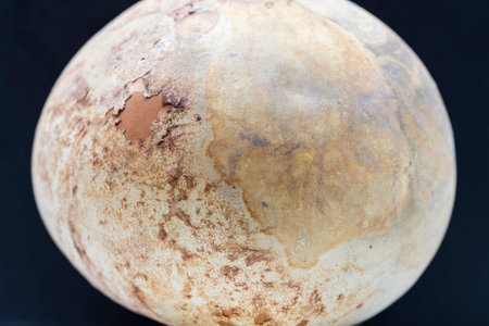 Surface of an old pumpkin with black background, looking like a planet in space