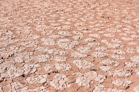 Detail of dry cracked land due to drought and climate changeの写真素材