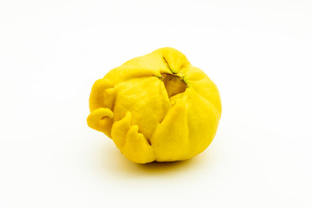 Deformed lemon attacked by eryophis seldoni, or marigold mite, isolated on white