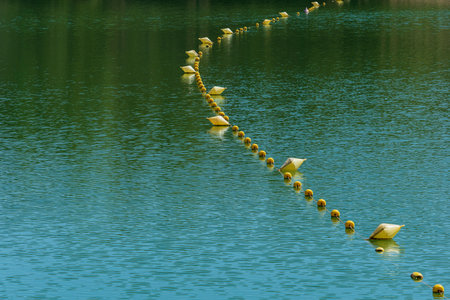 Yellow buoys dividing parts of the water of a lake