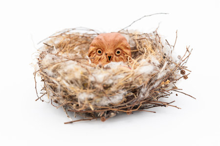 Small terracotta owl in a natural bird nest, isolated on white