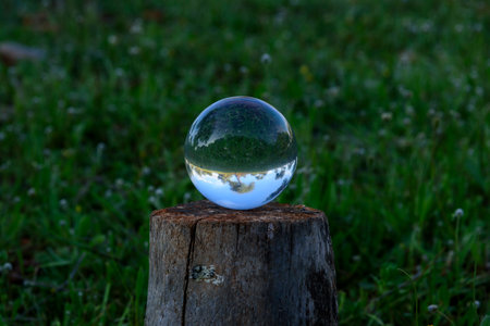 Trees reflected in a crystal ball in the countryside