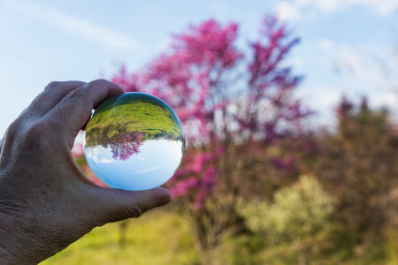 Trees reflected in a crystal ball in the countrysideの写真素材