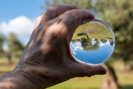 Trees reflected in a crystal ball in the countrysideの写真素材