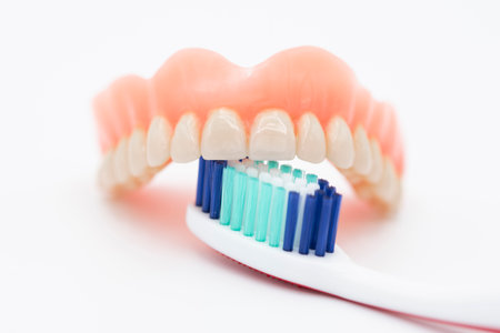 Toothbrush cleaning a set of teeth, isolated on white