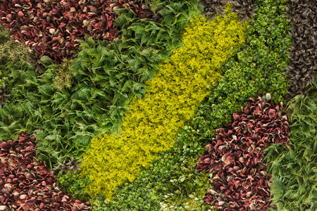 Texture made with plants of different shapes and colors