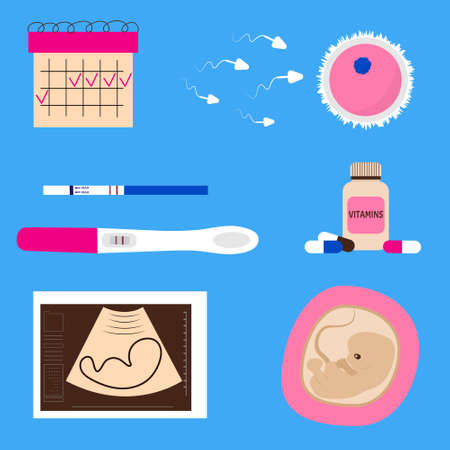 Objects of conception and pregnancy. Flat design icons vector collection of gynecology. Set for pregnant women. Can be used for topics like medicine, gynecology, health, pregnancy. Cell, life, reproduのイラスト素材