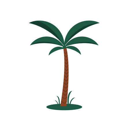 Cartoon Color Palm tree icon isolated on white background. Vector illustration.のイラスト素材