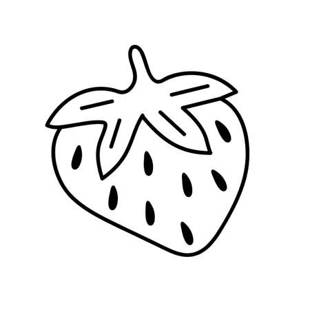 Strawberry hand-drawn outline doodle icon. Vector sketch illustration of healthy berry - fresh raw strawberry for print, web, mobile and infographics isolated on white background.のイラスト素材