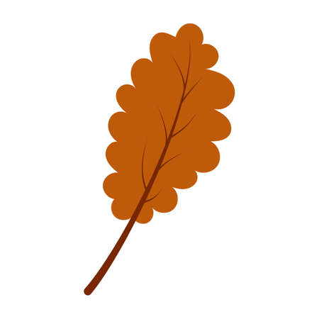 Oak leaf in hand drawn styleのイラスト素材