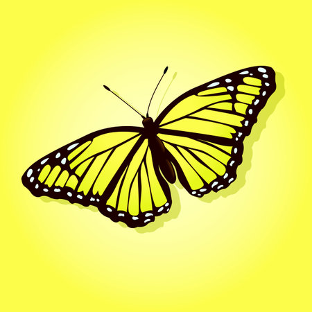 Bright butterfly on a colored backgroundのイラスト素材