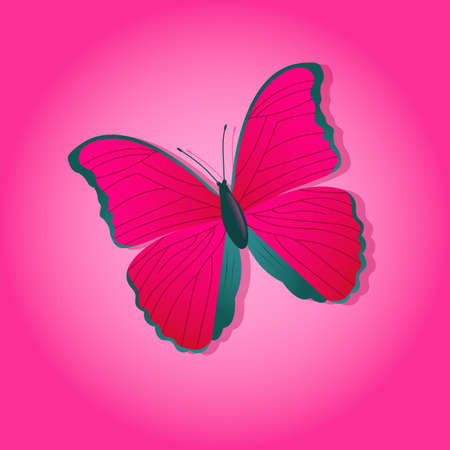 Bright butterfly on a colored backgroundのイラスト素材