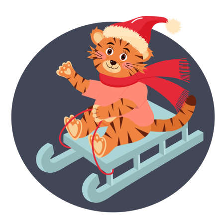 Cute tiger in hat and scarf is sledding.のイラスト素材