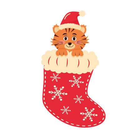 A cute baby tiger in the Christmas sock.のイラスト素材