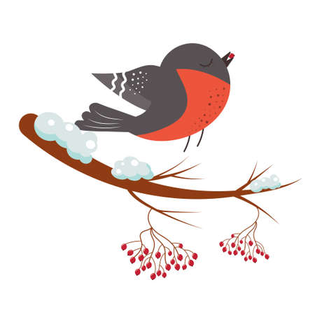 Bullfinch with a berry in his beak on a rowan branch. Vector illustration.のイラスト素材
