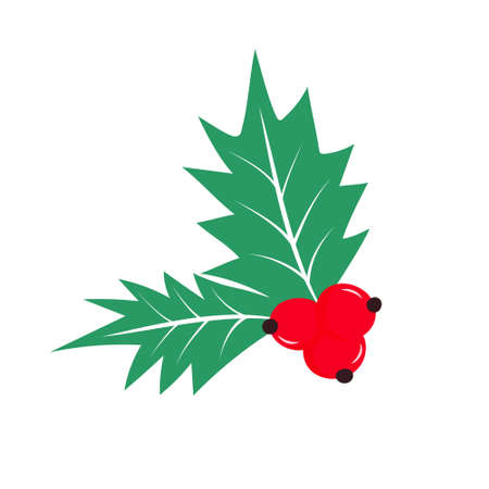 Holly leaves and berries icon. Christmas symbol. Element for design.のイラスト素材