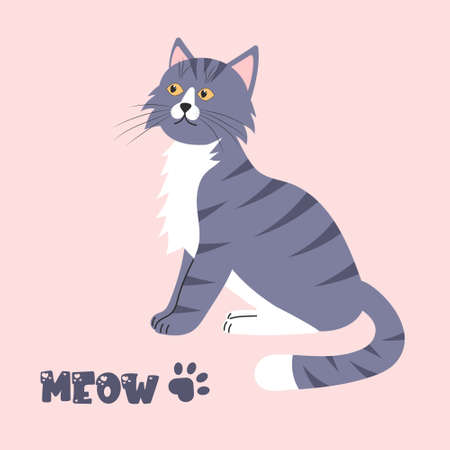 Tabby gray cat is sitting. Meow lettering text and paw. vector illustration.のイラスト素材